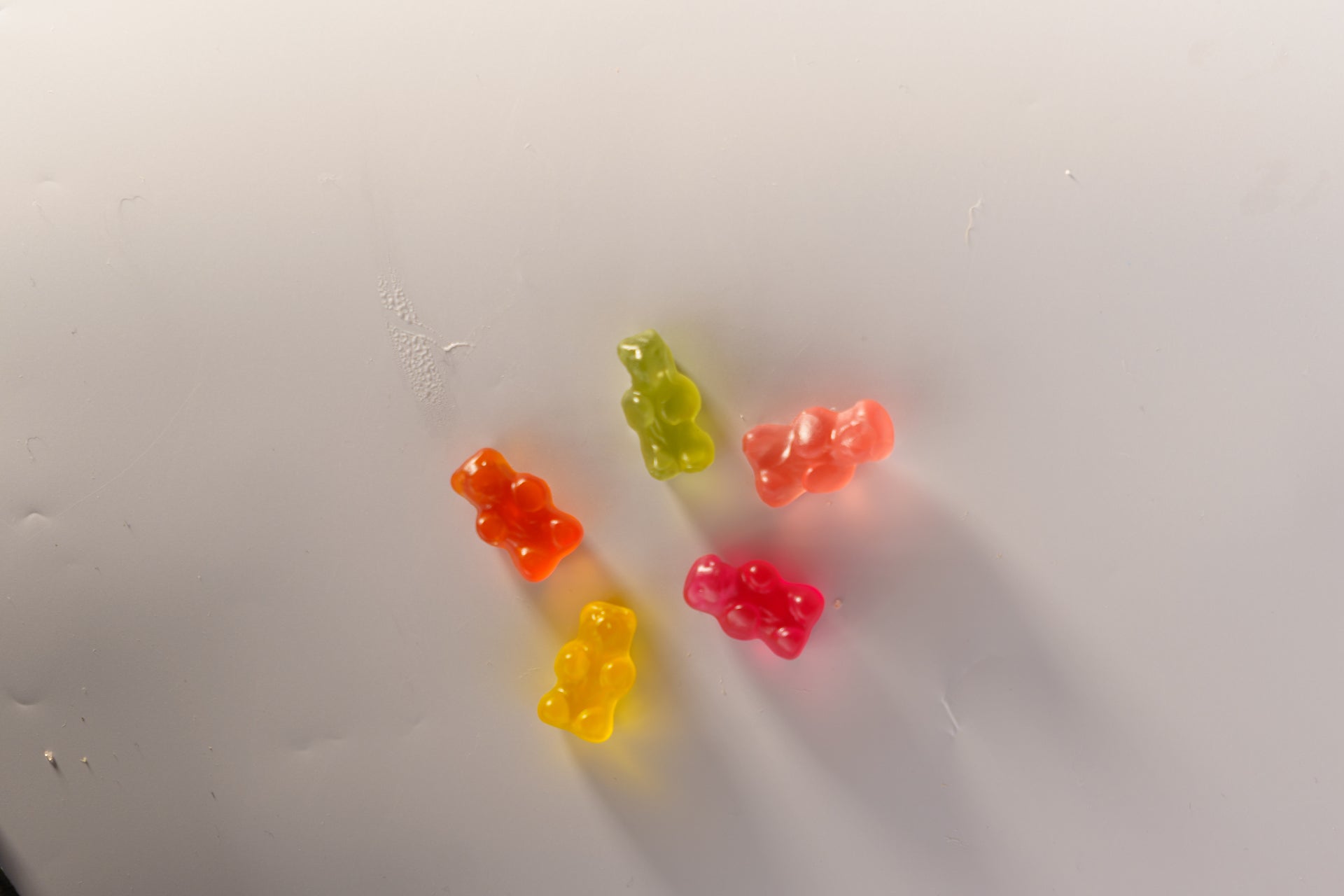 Skwish Gummy Bears — gummies